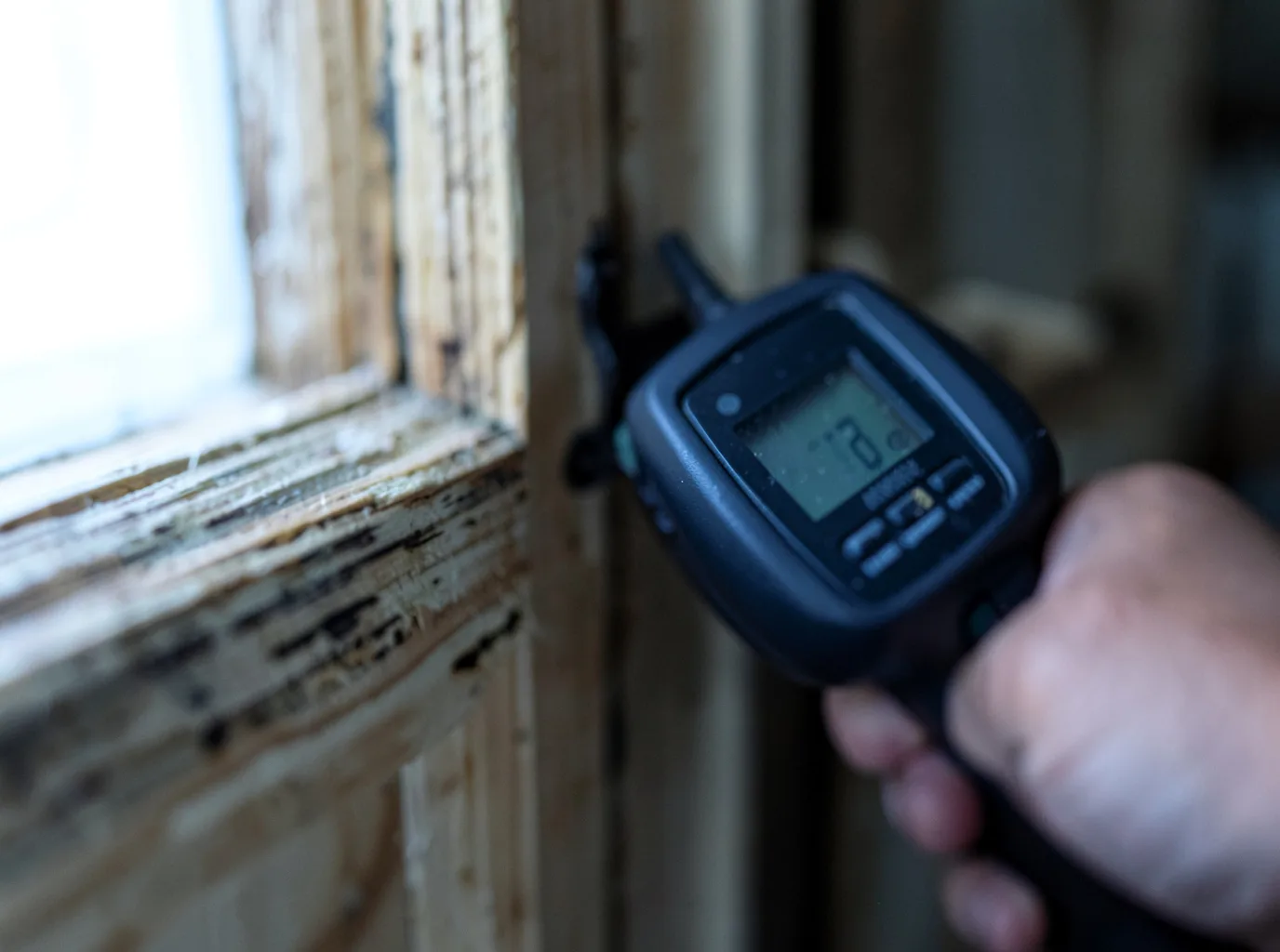 Moisture Inspection And Documentation in Lennon, MI